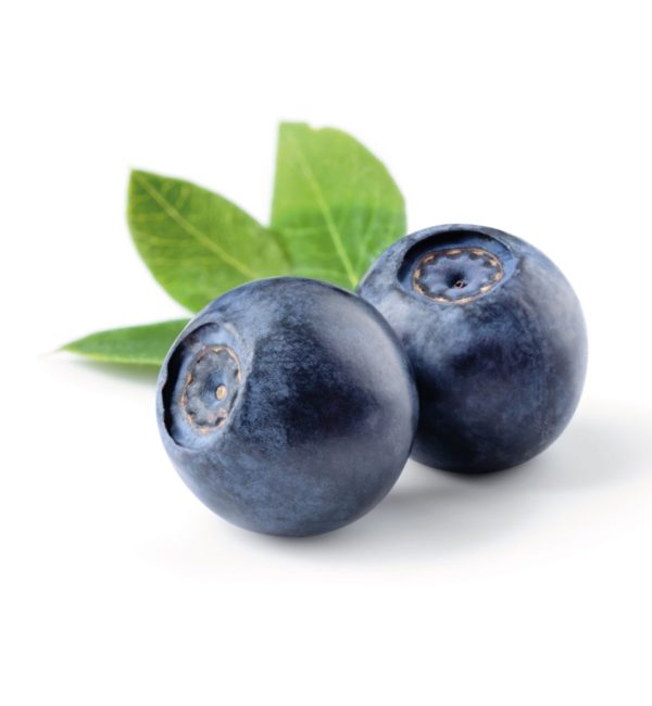 Blueberry puree - No added sugar