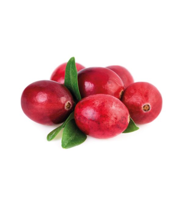 Organic Cowberry Puree - No added sugar