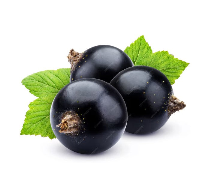 Black currant puree - No added sugar