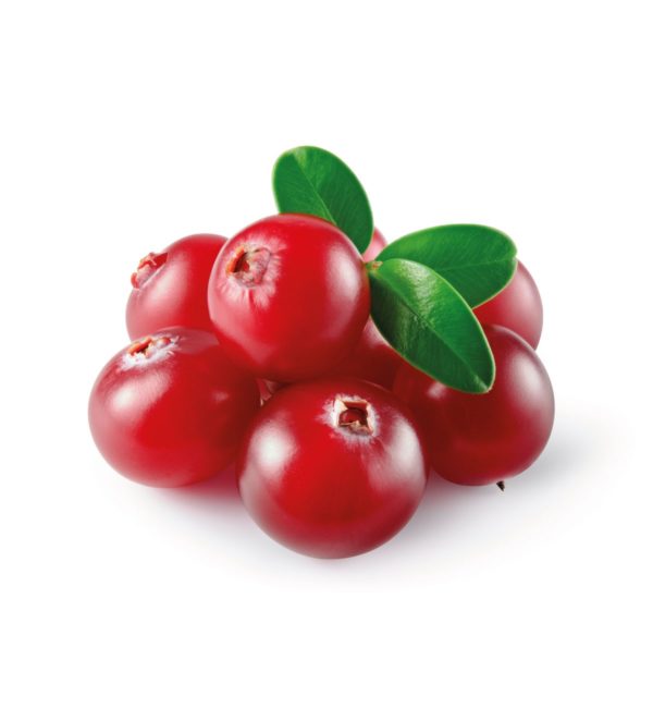 Organic Cranberry Puree - No added sugar