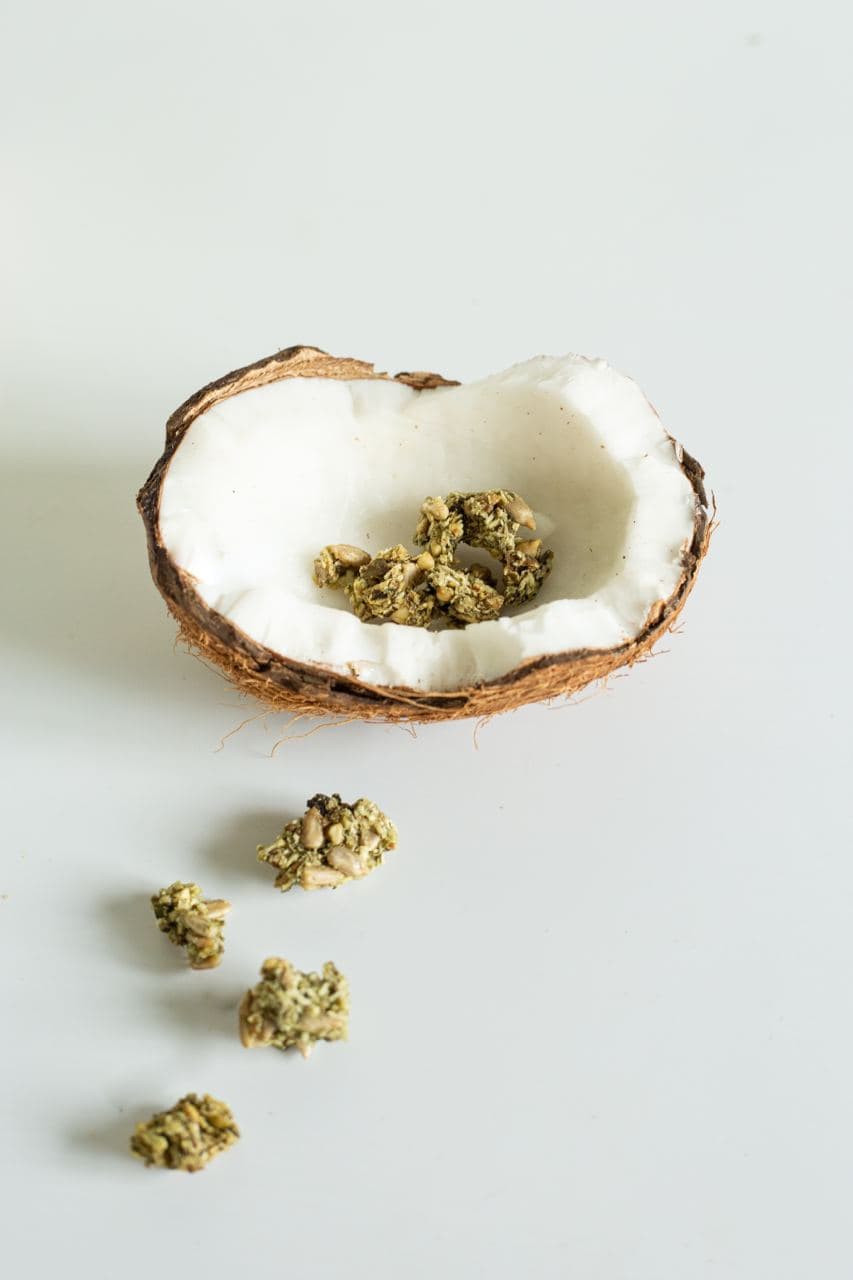 Healthy Tradition Nutri Seed Crunch GREEN
