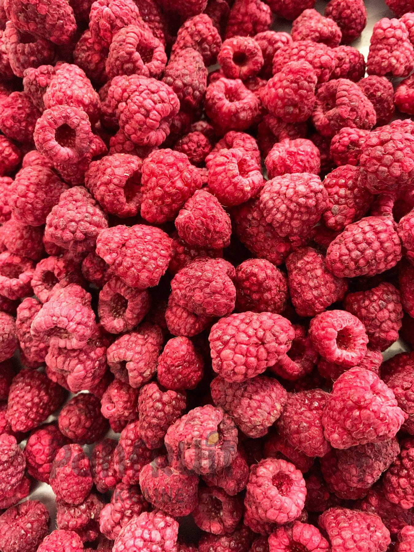 Panfruit Freeze-dried Organic Raspberry